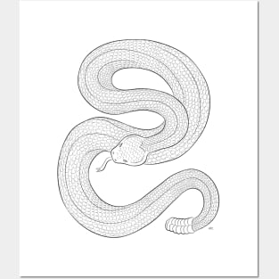 Rattlesnake Drawing Posters and Art